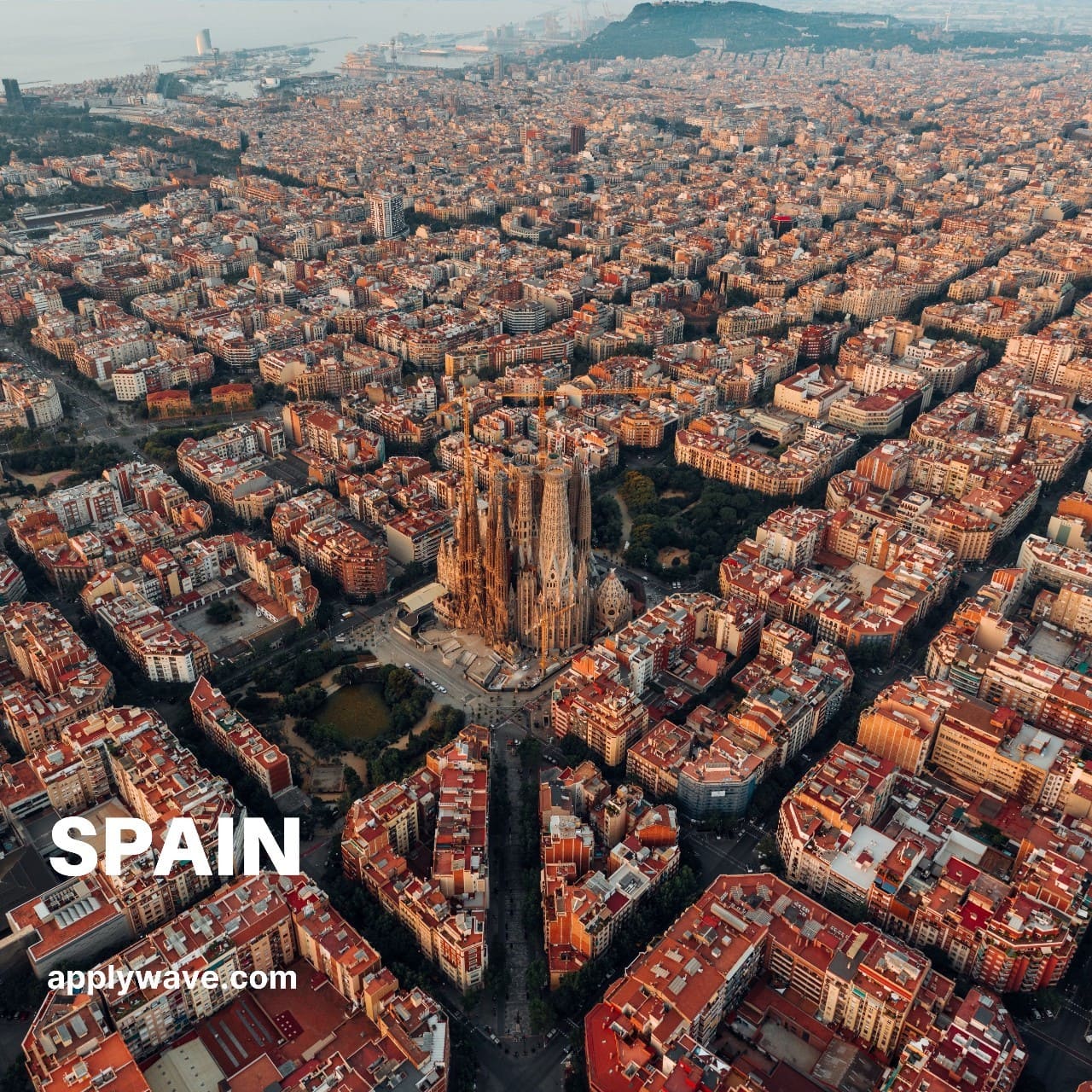 gestion-de-redes-sociales-para-applywave-por-agencia-PL-Creative-Studio